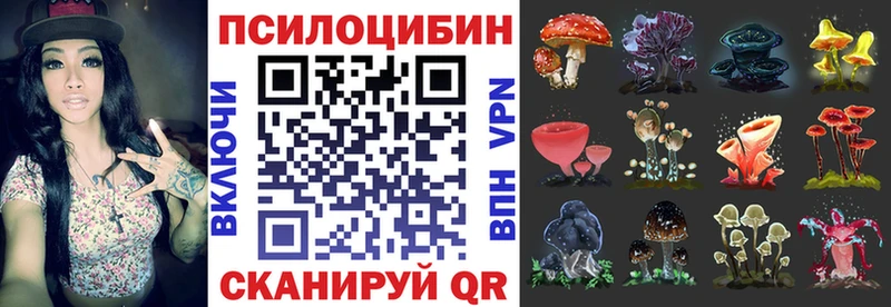 omg ТОР Волхов Галлюциногенные грибы Cubensis