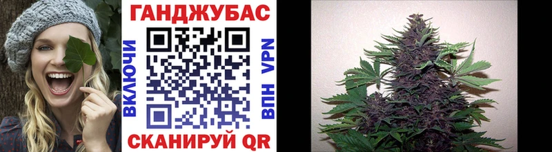 Бошки марихуана ГИДРОПОН  Волхов 